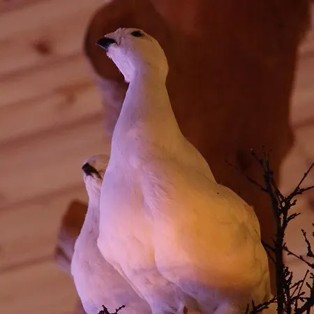 Hetan Majatalo Enontekiö