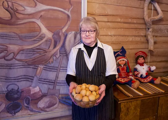 Hetan Majatalo 3* Enontekio